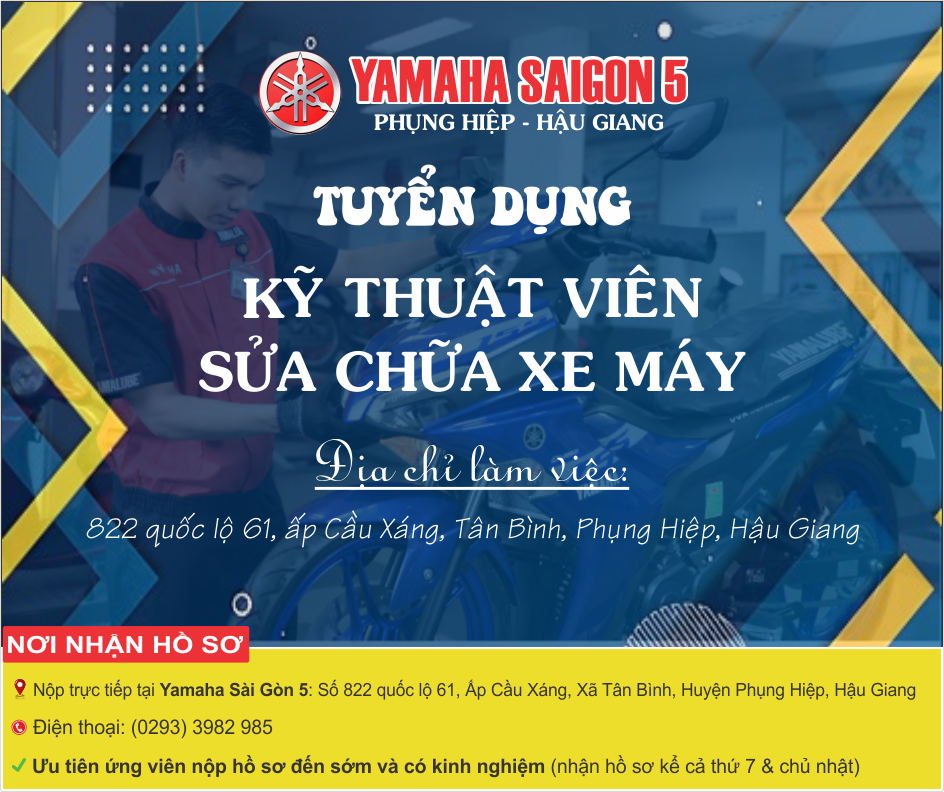 lĩnh vực hoạt động
